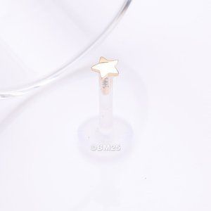 14 Karat Gold Star Plate Top Bio-Flex Labret